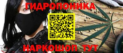 каннабис Дубна