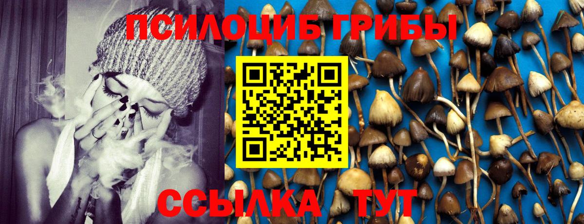 Марихуана  Мытищи  Меф МЯУ МЯУ   COCAIN  Alpha-PVP СК   ГАШИШ  Вход с VPN 
