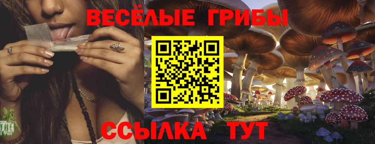 Галлюциногенные грибы Cubensis  Вход с VPN  Мытищи 